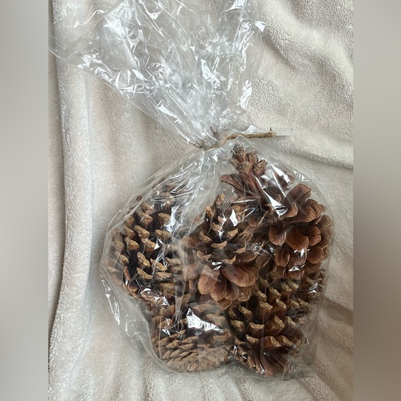 Pinecones (NWT) 5 pc $24.99 home decor - Picture 5 of 7